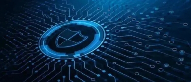 网上报名系统的用户需求分析