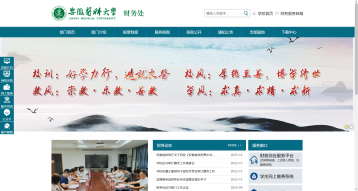 安徽医科大学财务处网站建设