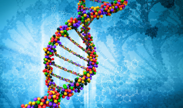 高校生物科学学院网站建设