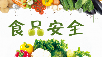 高校食品与安全学院网站建设