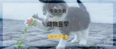 高校动物医学院网站建设