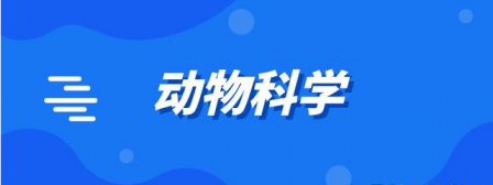 高校动物科学学院网站设计