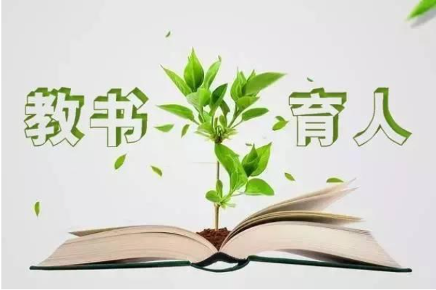 开发一个导师双选系统的价格
