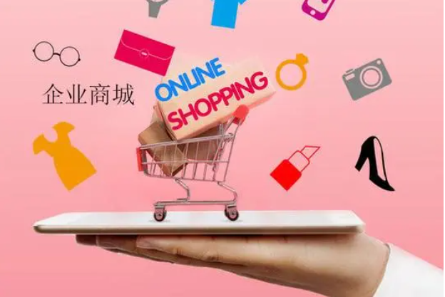 企业网店系统开发