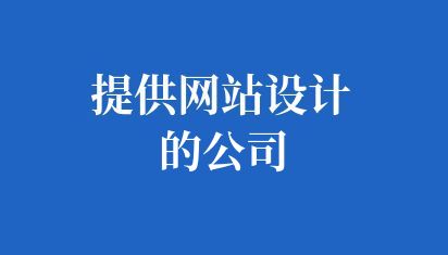 提供网站设计的公司