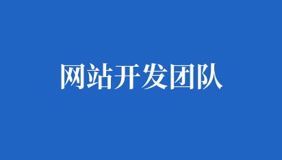 网站开发团队
