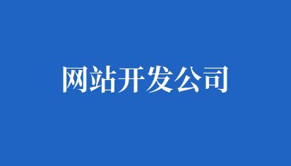 专业定制高校网站开发公司