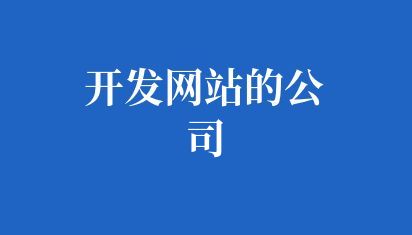 开发网站的公司