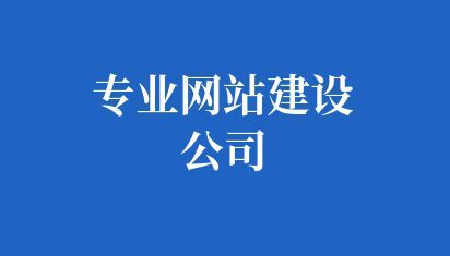专业网站建设公司