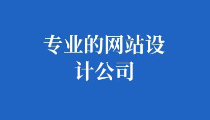 专业的网站设计公司