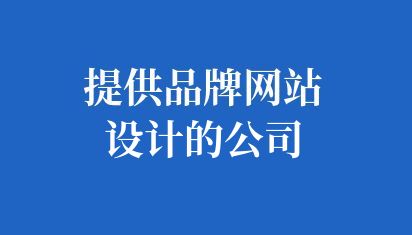 提供品牌网站设计的公司