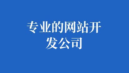 专业的网站开发公司