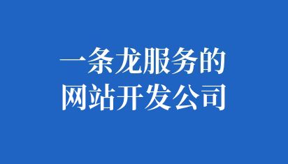 一条龙服务的网站开发公司